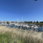 img_0970.png